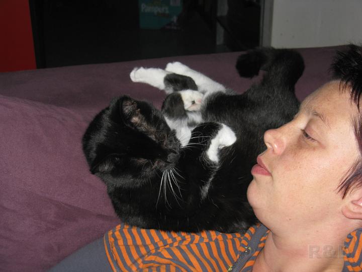 Spike & Zoey 10 november 2008 (2).JPG